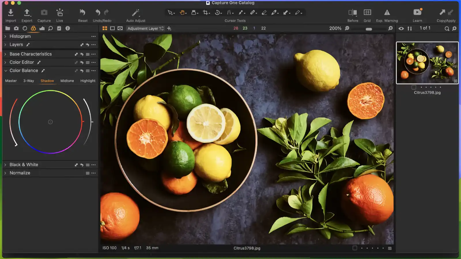 Capture One - Sophisticated color adjustment tools_02