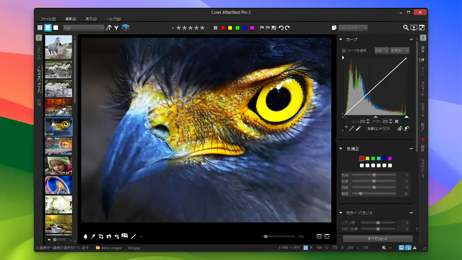 Corel AfterShot Pro - Powerful texture and sharpening tools_03