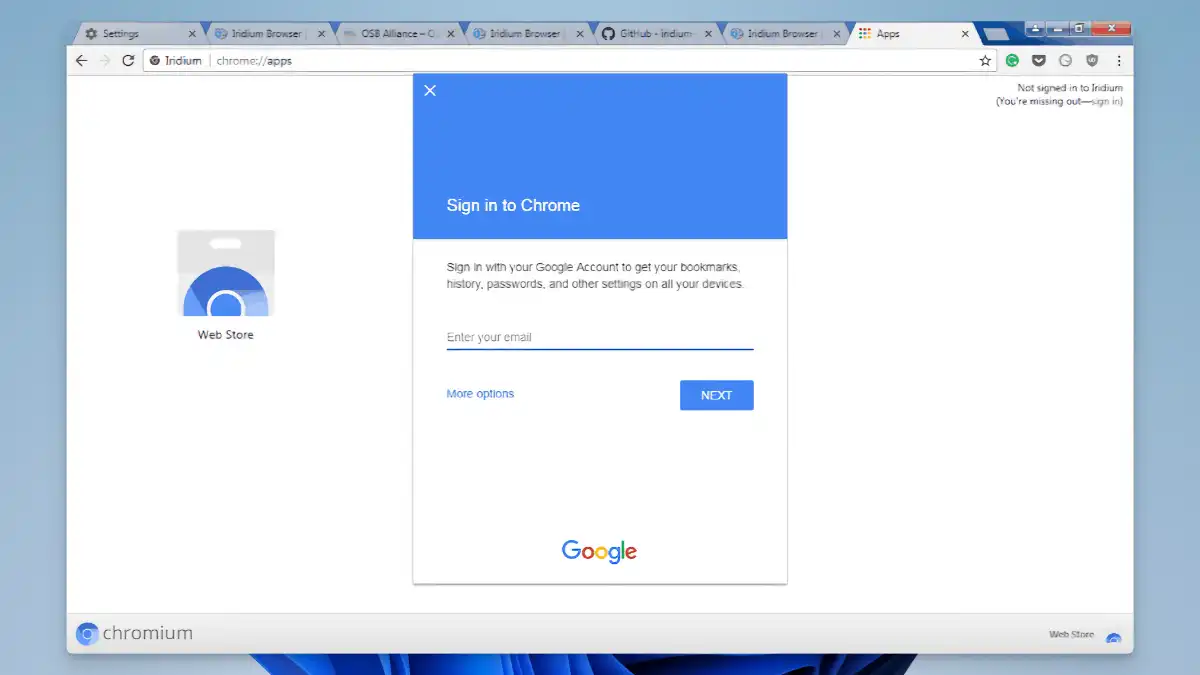 Iridium Browser - 01