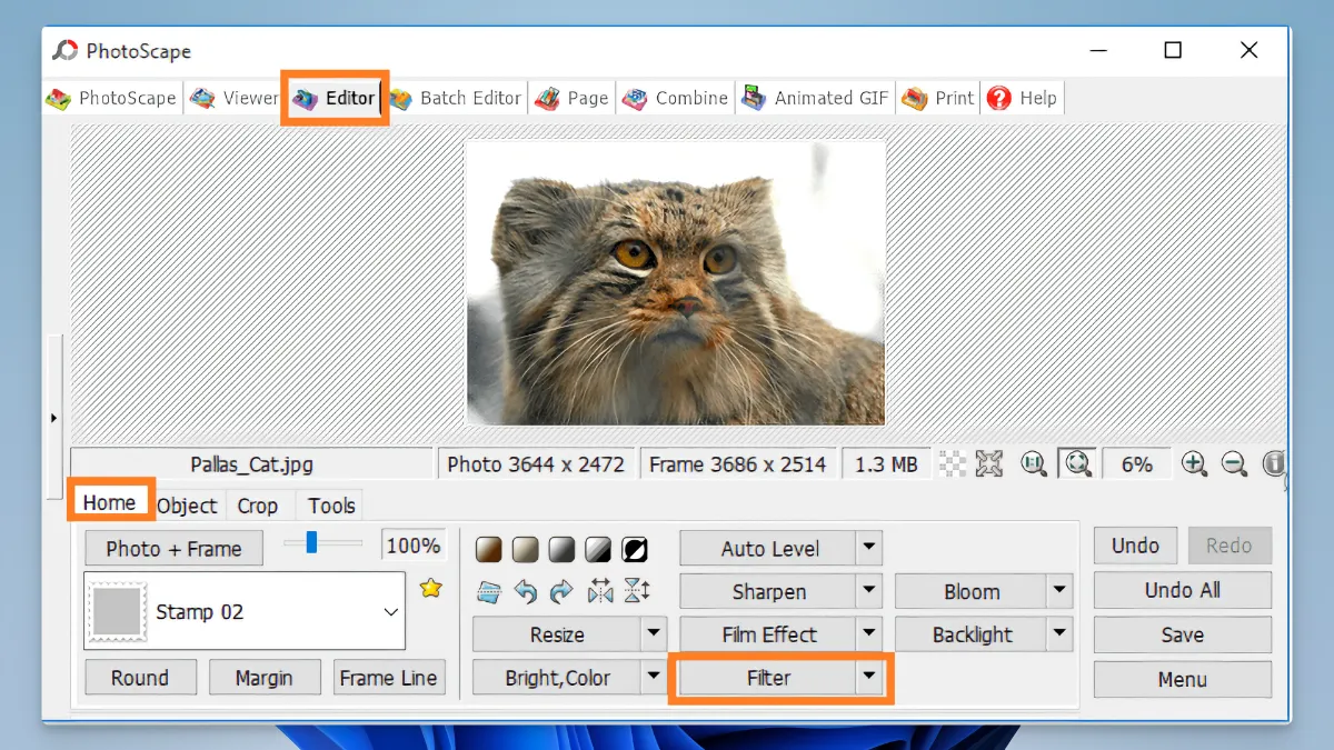 PhotoScape - Lots of filters and effects_03