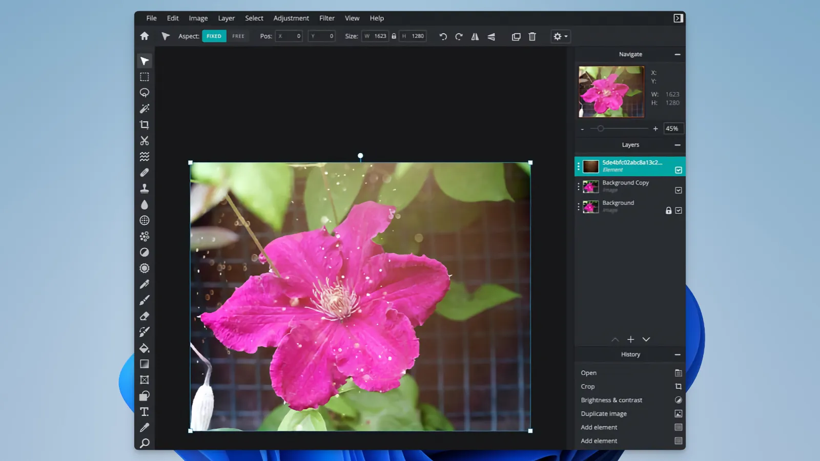Pixlr E - PSD files_04
