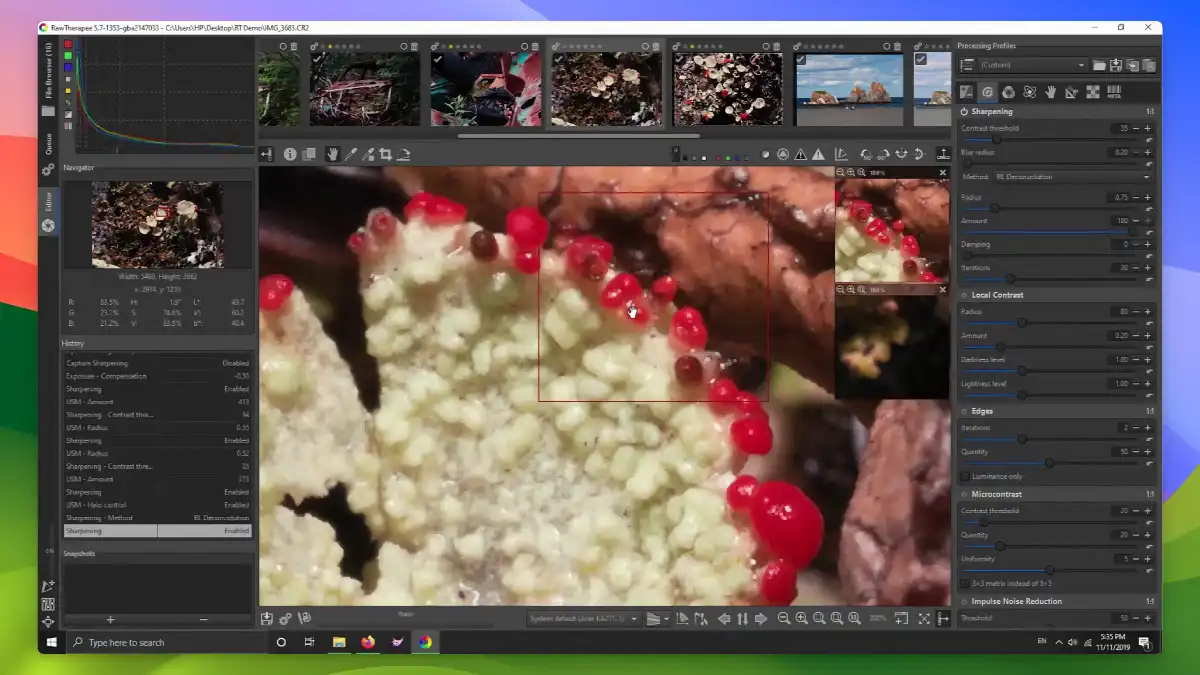 RawTherapee - Powerful sharpening_03