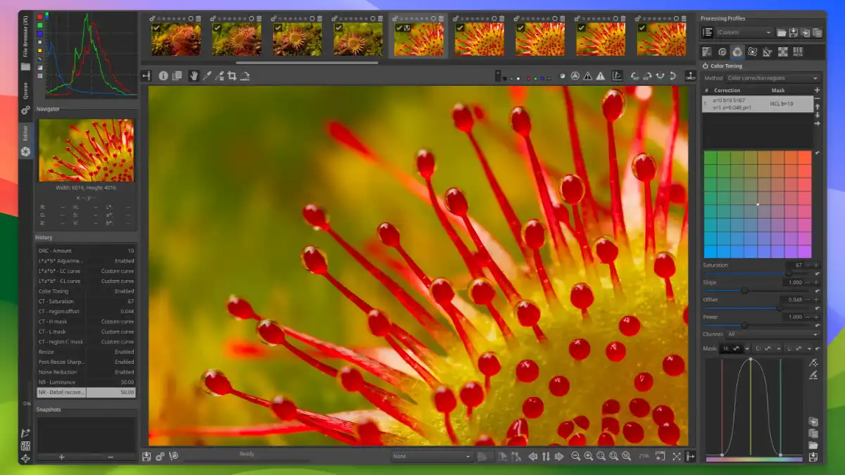 RawTherapee - color correction_01