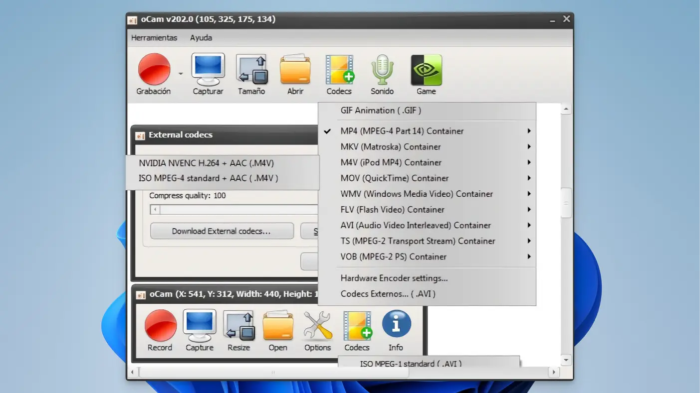 oCam - Create GIF - 03