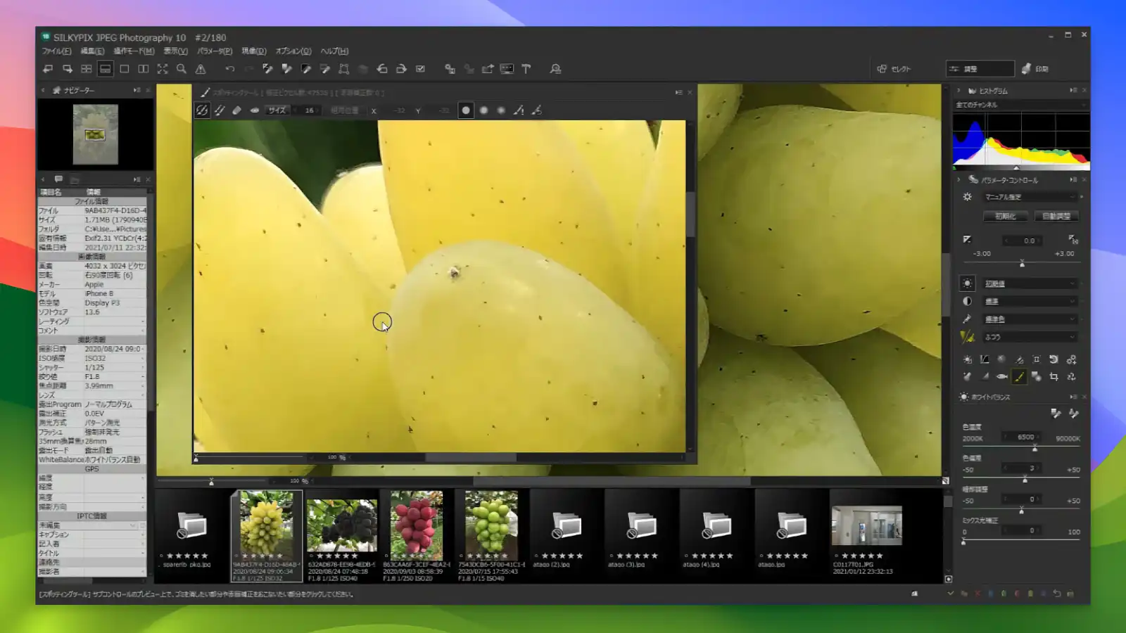 SILKYPIX 4 silkypix - Output high-resolution images_04